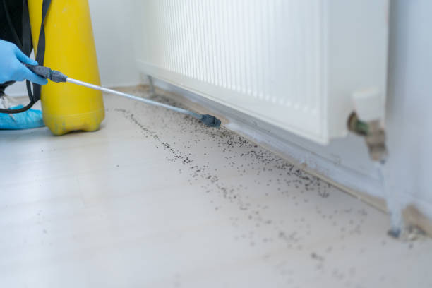 Best Pest Prevention Services  in St Johns, MI